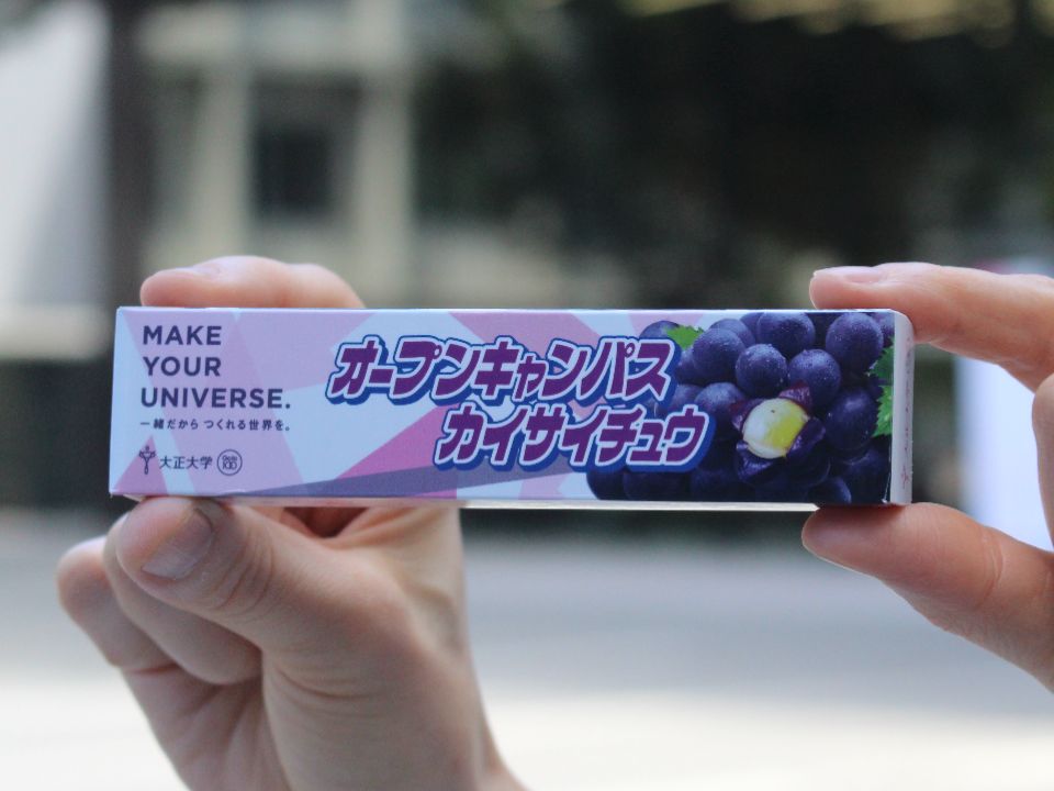 大正大学 2019年版 大正大学 (2021年版大学入試シリーズ) | 教学社編集