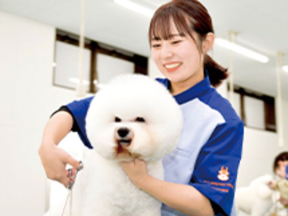 スカイ総合ペット専門学校 | 特徴や雰囲気 | ベスト進学ネット