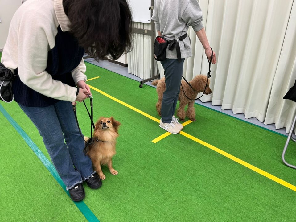 WIZ-DOG ACADEMY（ウィズドッグアカデミー） | 特徴や雰囲気 | ベスト進学ネット