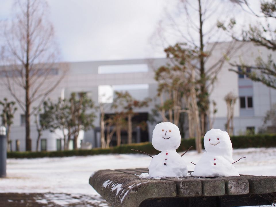 阪奈中央リハビリテーション専門学校 キャンパスライフ ベスト進学ネット 阪奈中央リハビリテーション専門学校 キャンパスライフ ベスト進学ネット