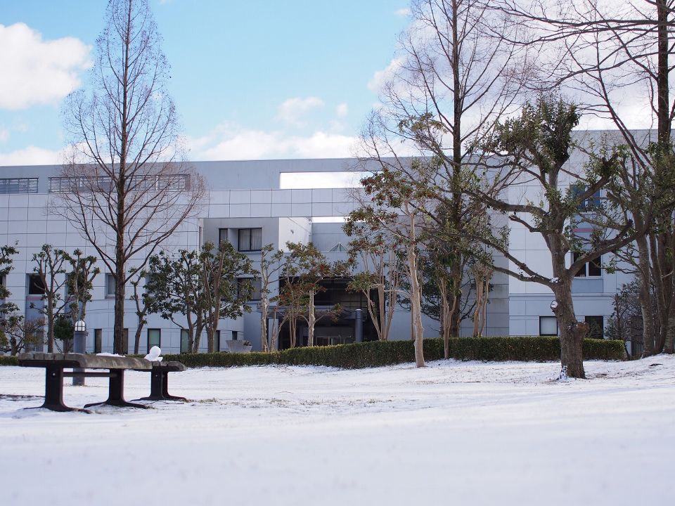 阪奈中央リハビリテーション専門学校 キャンパスライフ ベスト進学ネット 阪奈中央リハビリテーション専門学校 キャンパスライフ ベスト進学ネット