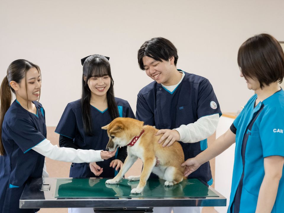 中央動物看護専門学校 | キャンパスライフ | ベスト進学ネット