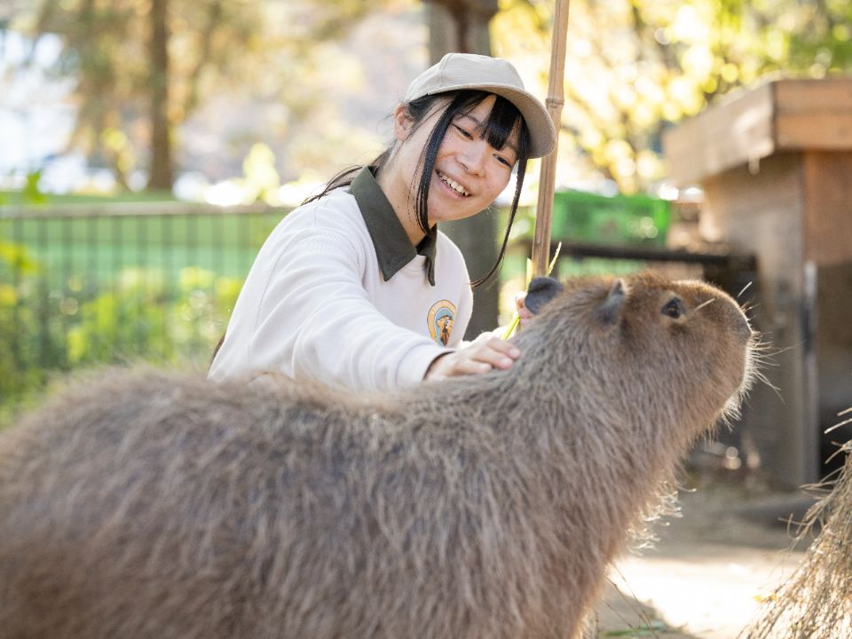 中央動物看護専門学校 動物飼育学科のご紹介🐘🦒